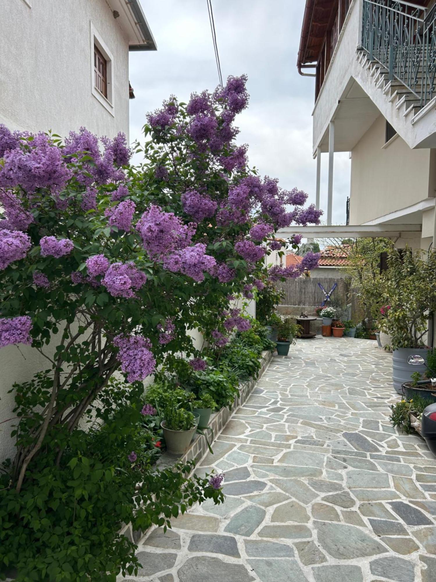 Guesthouse Doma Est 1991 Arachova Exteriér fotografie